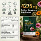 ZENRA - Drainage Lymphatique